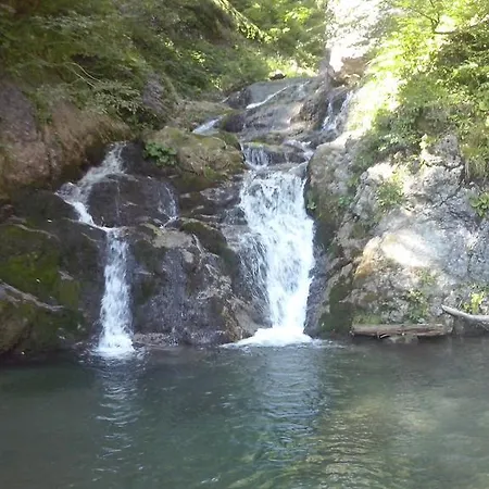 Διαμέρισμα Peternelj Davča