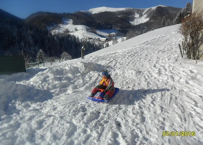 Apartment Peternelj *