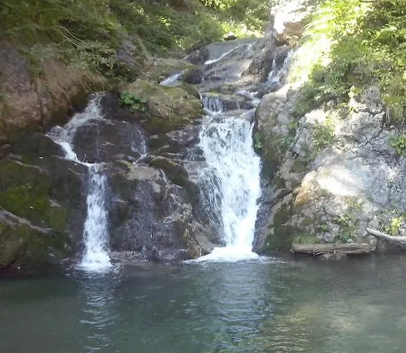 Apartment Peternelj Davča